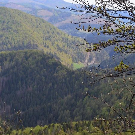 Penzion Thamasy Spisske Tomasovce Exterior photo