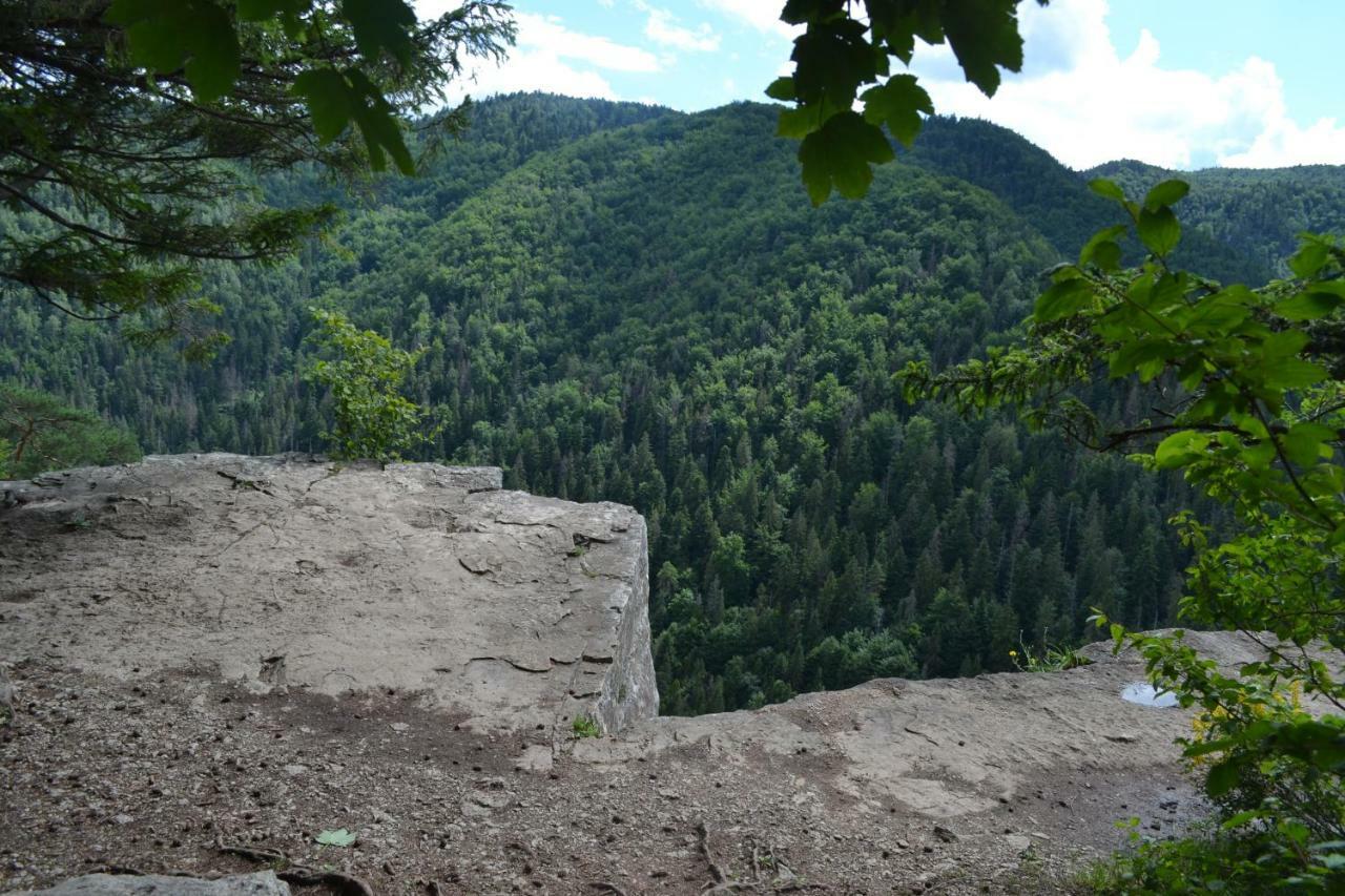 Penzion Thamasy Spisske Tomasovce Exterior photo