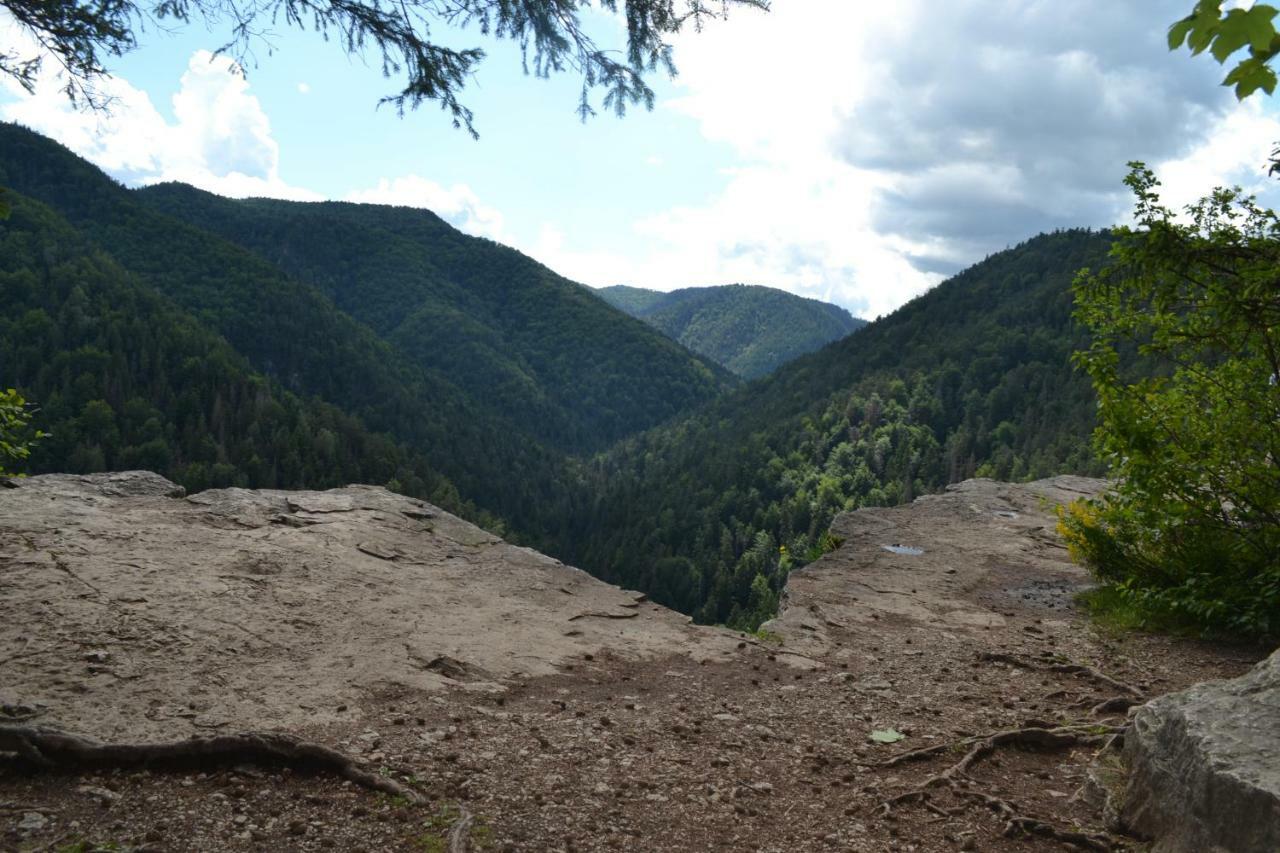 Penzion Thamasy Spisske Tomasovce Exterior photo
