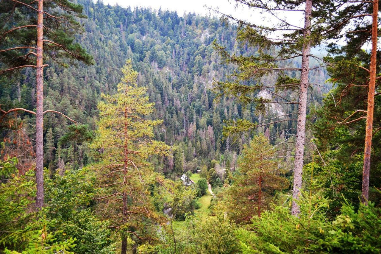 Penzion Thamasy Spisske Tomasovce Exterior photo